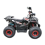 ATV HUNTER II, 120cc, 7 CP, 4x2 cu pornire electrica