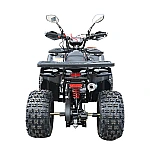 ATV HUNTER II, 120cc, 7 CP, 4x2 cu pornire electrica