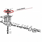 Coroana dintata RURIS PS1001ksd-4-5, 41 dinti, pentru motocultor Ruris