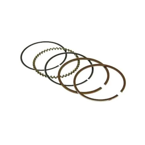 Segmenti RURIS PS170f-4-8, pentru motocultoarele Ruris echipate cu motoare 170F Segmenti RURIS PS170f-4-8, pentru motocultoarele Ruris echipate cu motoare 170F