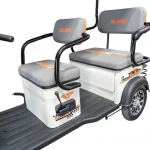 Triciclu Electric RURIS Pilot 3070N – Motor Electric 2900W, Baterie Plumb-Acid 72V 32Ah, Autonomie 60 km, Viteza 25 km/h, Capacitate 225 kg, alb, omologat pentru drum public