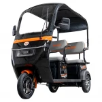 Triciclu Electric RURIS Pilot 3070N – Motor Electric 2900W, Baterie Plumb-Acid 72V 32Ah, Autonomie 60 km, Viteza 25 km/h, Capacitate 225 kg, negru