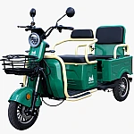 Triciclu electric Evotools TRCC1200, 1200W, baterie 60V20Ah, autonomie 52 KM, viteza maxima de 25 km/h, conform reglementarilor UE, fara permis