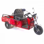 Tricicleta electrica Rotakt Nautilus, autonomie 70 Km, viteza 25 km/h, bena basculabila, putere 1600W, acumulatori 60v/32Ah, culoare visinie, fara permis, reductor pentru greu si usor mecanic Tricicleta electrica Rotakt Nautilus, autonomie 70 Km, viteza 25 km/h, bena basculabila, putere 1600W, acumulatori 60v/32Ah, culoare visinie, fara permis, reductor pentru greu si usor mecanic