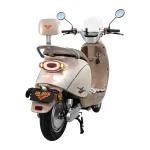 Scuter Electric RURIS Pilot SX790 Gold, motor 800 W, baterie 48V20Ah, autonomie pana la 70 km, viteza maxima de 25 km/h, conform reglementarilor UE, fara permis
