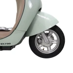 Scuter Electric RURIS Pilot SX790 Verde Retro, motor 800 W, baterie 48V20Ah, autonomie pana la 70 km, viteza maxima de 25 km/h, conform reglementarilor UE, fara permis