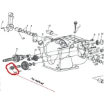 Ax melcat RURIS PS1001ksd-3-78a, 10 dinti, pentru motocultor Ruris 1001Ksd
