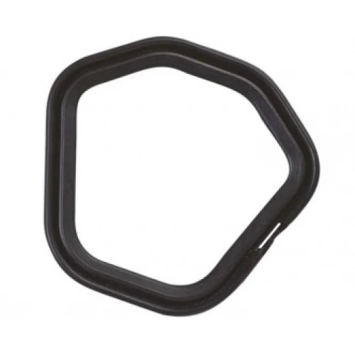 Garnitura capac chiuloasa RURIS PS168f-1-3, pentru motosapa Ruris 6 CP, 6.5 CP, 7 CP Garnitura capac chiuloasa RURIS PS168f-1-3, pentru motosapa Ruris 6 CP, 6.5 CP, 7 CP