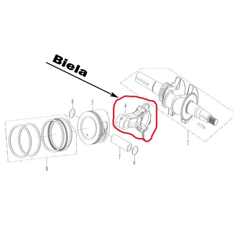Biela RURIS PS168f-4-4a, pentru motosapa Ruris 7009