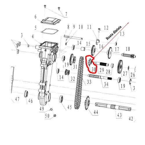 Roata dintata superior, lant transmisie RURIS PS6500k-1-30, pentru motosapa Ruris, Dac, Zimbru, Gigant Roata dintata superior, lant transmisie RURIS PS6500k-1-30, pentru motosapa Ruris, Dac, Zimbru, Gigant