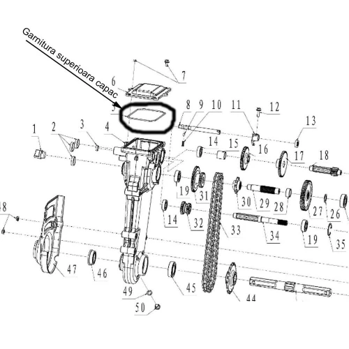 Garnitura superioara RURIS PS6500k-1-5, pentru motosapa Ruris, Dac, Gigant, Zimbru Garnitura superioara RURIS PS6500k-1-5, pentru motosapa Ruris, Dac, Gigant, Zimbru