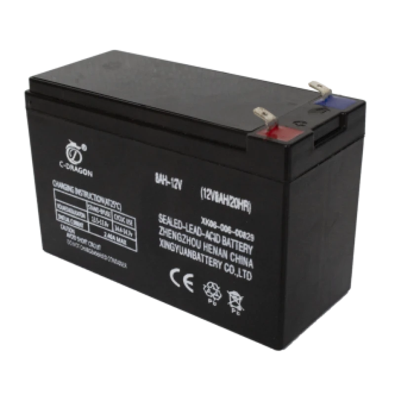 Acumulator baterie RURIS PSRS1800-8, pentru pulverizatoarele electrice Ruris RS 1800