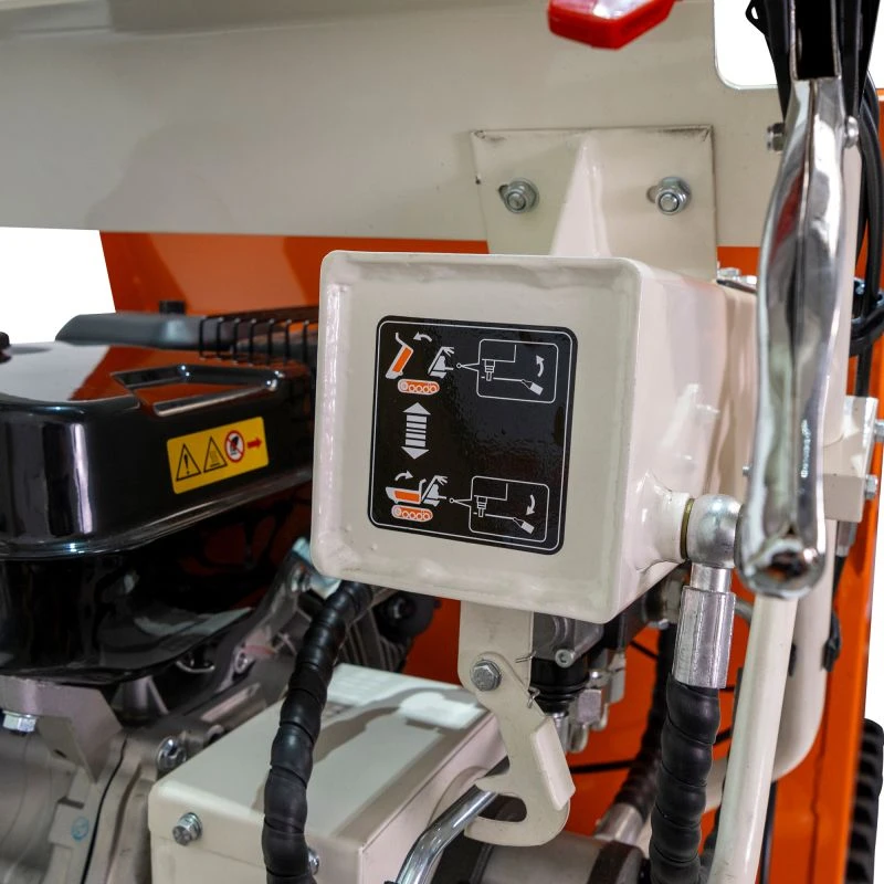 Roaba autopropulsata RURIS RTS 7000 9 CP basculare hidraulica capacitate 500 kg