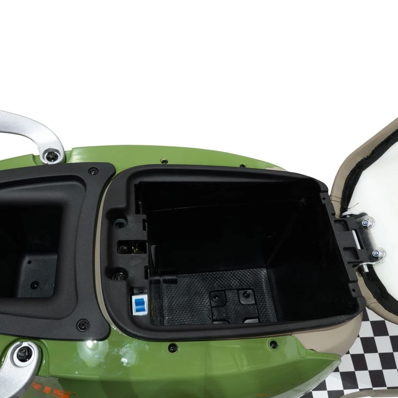 Scuter Electric RURIS Pilot SX790 Verde Bamboo, motor 800 W, baterie 48V20Ah, autonomie pana la 70 km, viteza maxima de 25 km/h, conform reglementarilor UE, fara permis