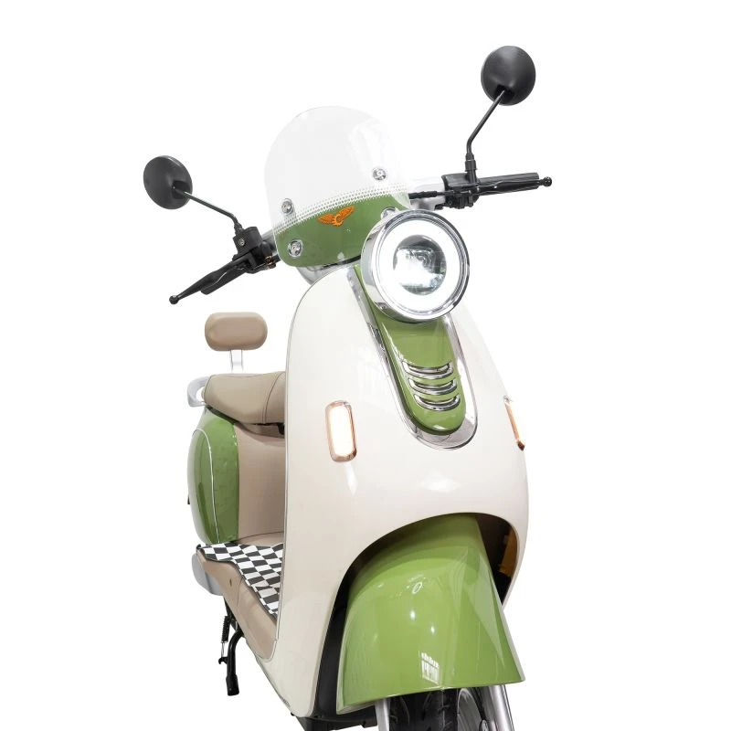 Scuter Electric RURIS Pilot SX790 Verde Bamboo, motor 800 W, baterie 48V20Ah, autonomie pana la 70 km, viteza maxima de 25 km/h, conform reglementarilor UE, fara permis