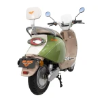 Scuter Electric RURIS Pilot SX790 Verde Bamboo, motor 800 W, baterie 48V20Ah, autonomie pana la 70 km, viteza maxima de 25 km/h, conform reglementarilor UE, fara permis