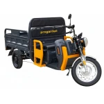 Triciclu Electric Cargo Progarden TRIVO 3000, 72V, 58Ah, incarcator inclus, putere 3000W, viteza maxima de 25 km/h, conform reglementarilor UE, fara permis, autonomie 80km