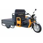 Triciclu Electric Cargo Progarden TRIVO 3000, 72V, 58Ah, incarcator inclus, putere 3000W, viteza maxima de 25 km/h, conform reglementarilor UE, fara permis, autonomie 80km