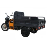 Triciclu Electric Cargo Progarden TRIVO 3000, 72V, 58Ah, incarcator inclus, putere 3000W, viteza maxima de 25 km/h, conform reglementarilor UE, fara permis, autonomie 80km