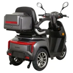 Triciclu electric, tricicleta, Samus Arizona-3R1-10T1000-60V20 Silver, motor 1000 W, acumulator 60V 20Ah, autonomie 50 km, viteza maxima de 25 km/h, conform reglementarilor UE, fara permis