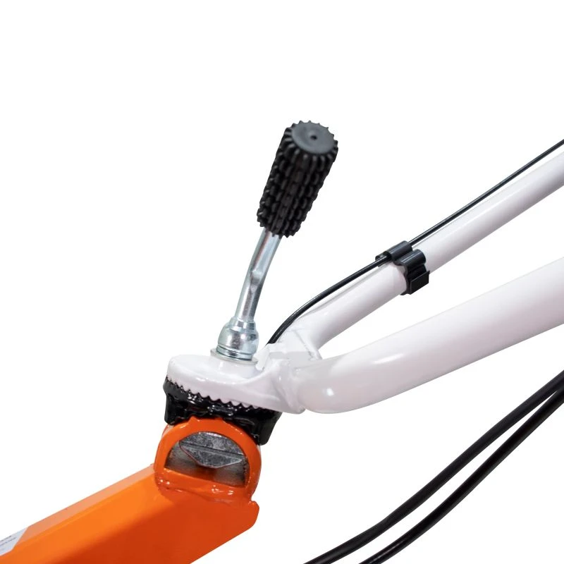 Motosapa DAC 7000 K Start Plus - 7CP, performanta in gradinarit